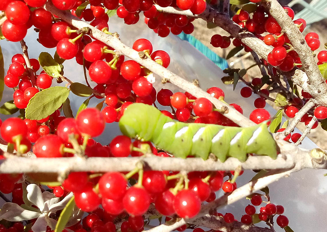 Austin Texas Exhibitions