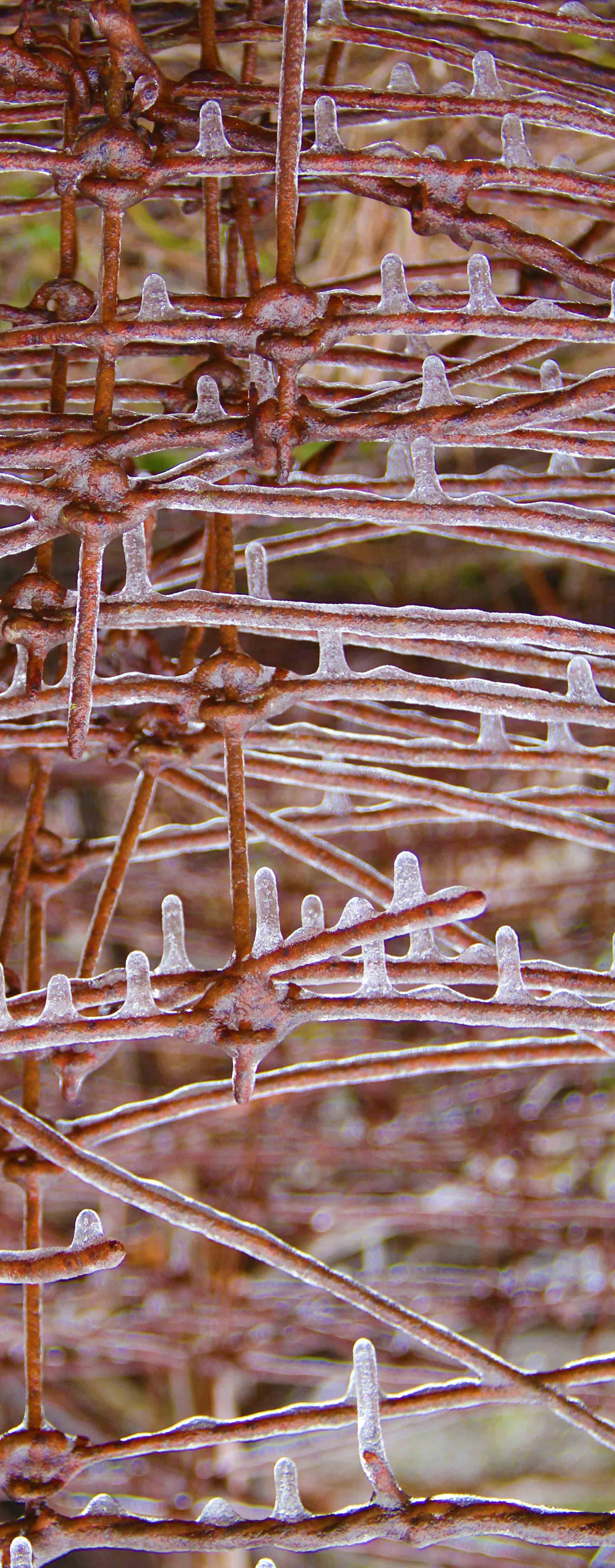 Austin Texas Exhibitions