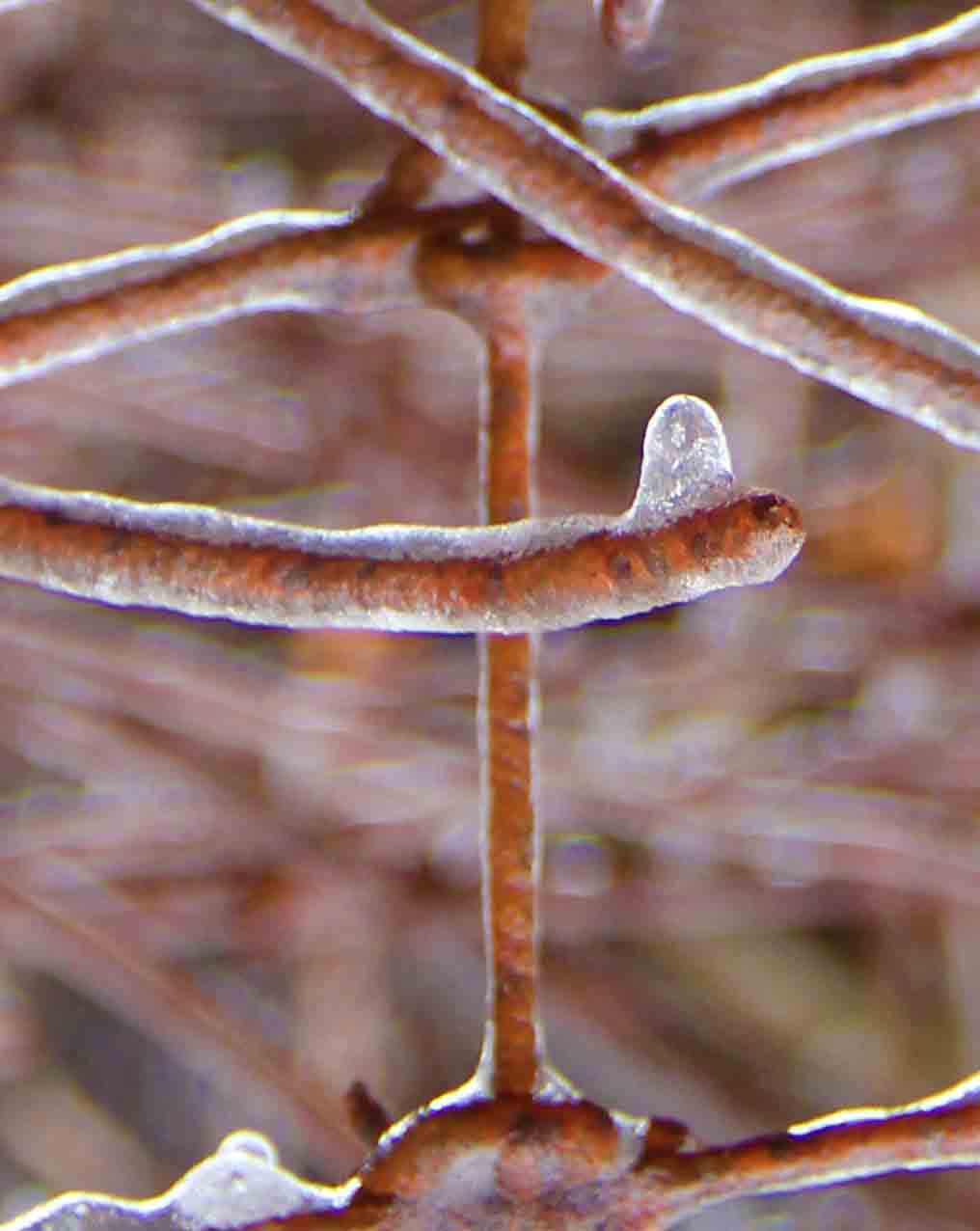 Austin Texas Exhibitions