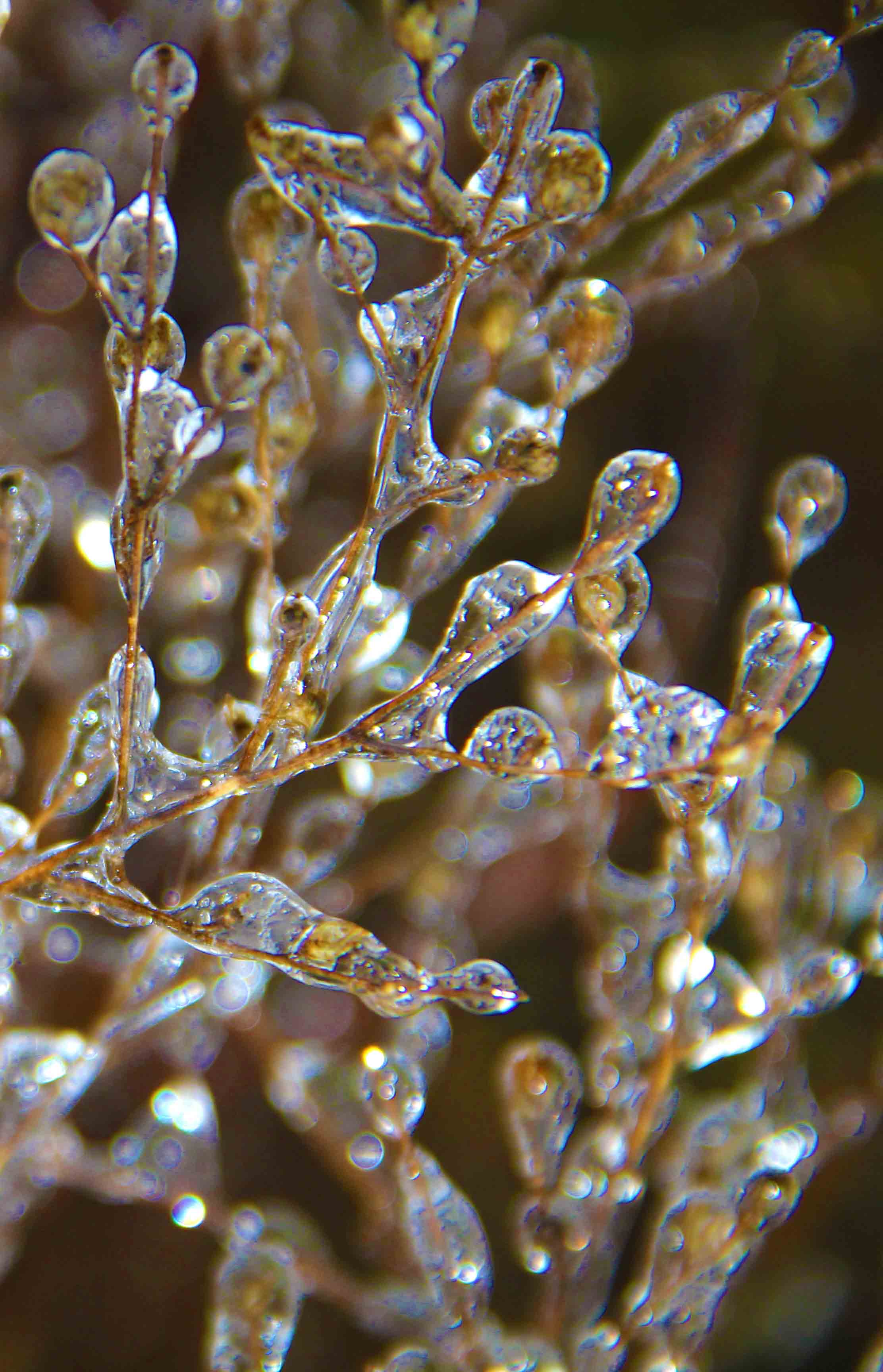 Austin Texas Exhibitions