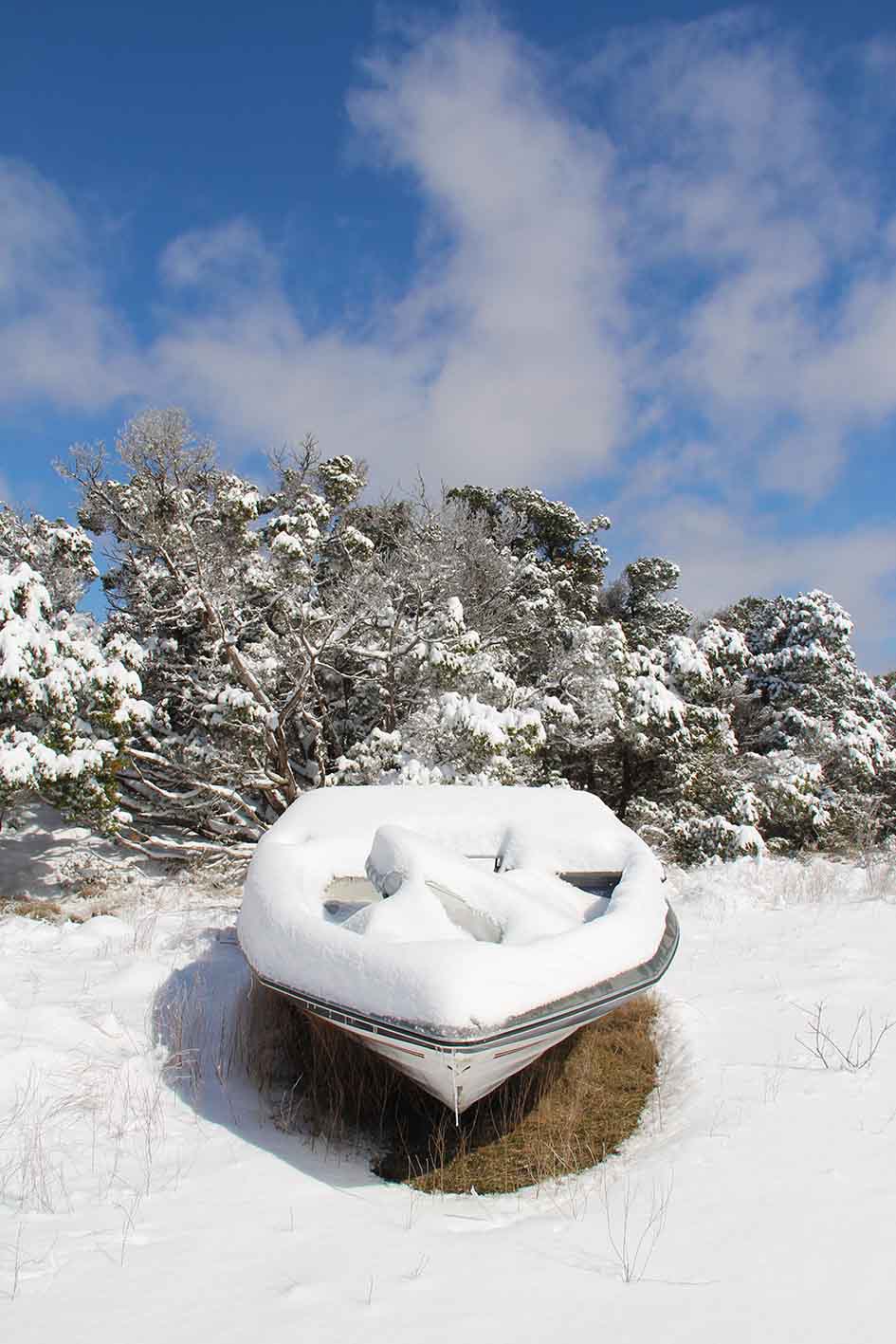 Austin Texas Exhibitions