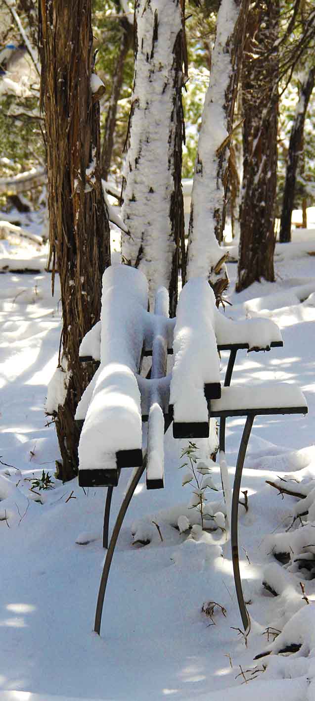 Austin Texas Exhibitions