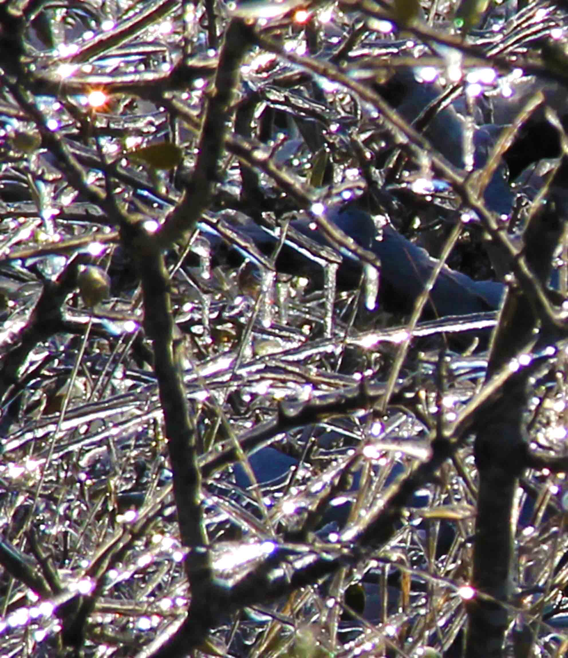 Austin Texas Exhibitions