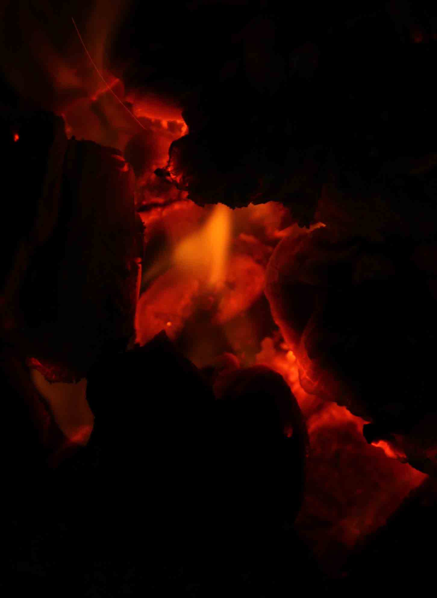 Austin Texas Exhibitions