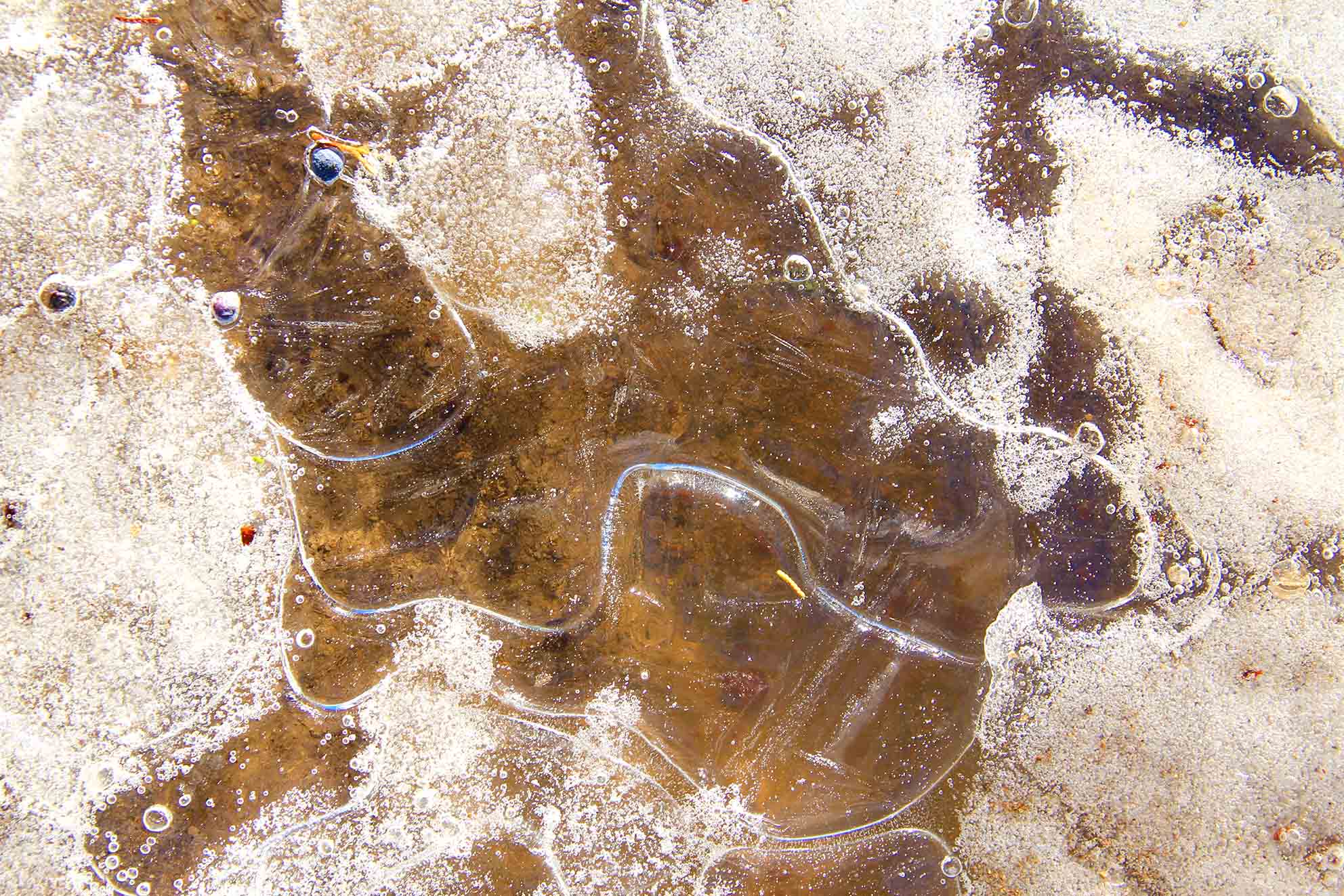 Austin Texas Exhibitions