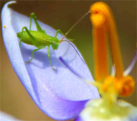 Austin Art Photo - Austin Art Exhibit