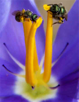 Austin Art Exhibition - Austin Art Galleries