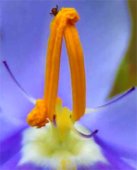 Austin Art Exhibit - Austin Art Photography