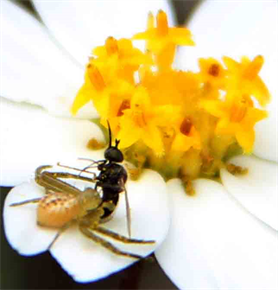 Austin Art Exhibit -  Art Photography