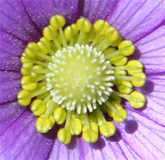 Austin Art Photographer