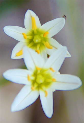 Open This Weekend Hours