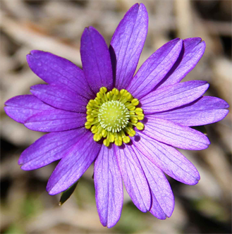 Austin Photographer Exhibition