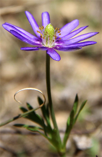 Open Art Exhbition This Weekend