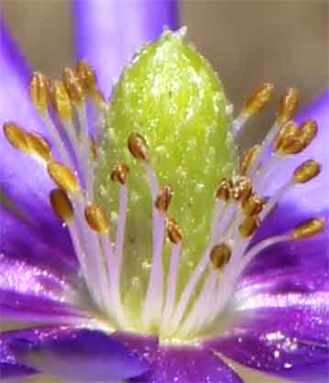 Famous Photographer in Austin