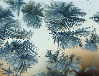 Art Exhibitions Downtown Austin