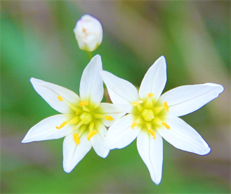 Master Photographers in Austin Tx