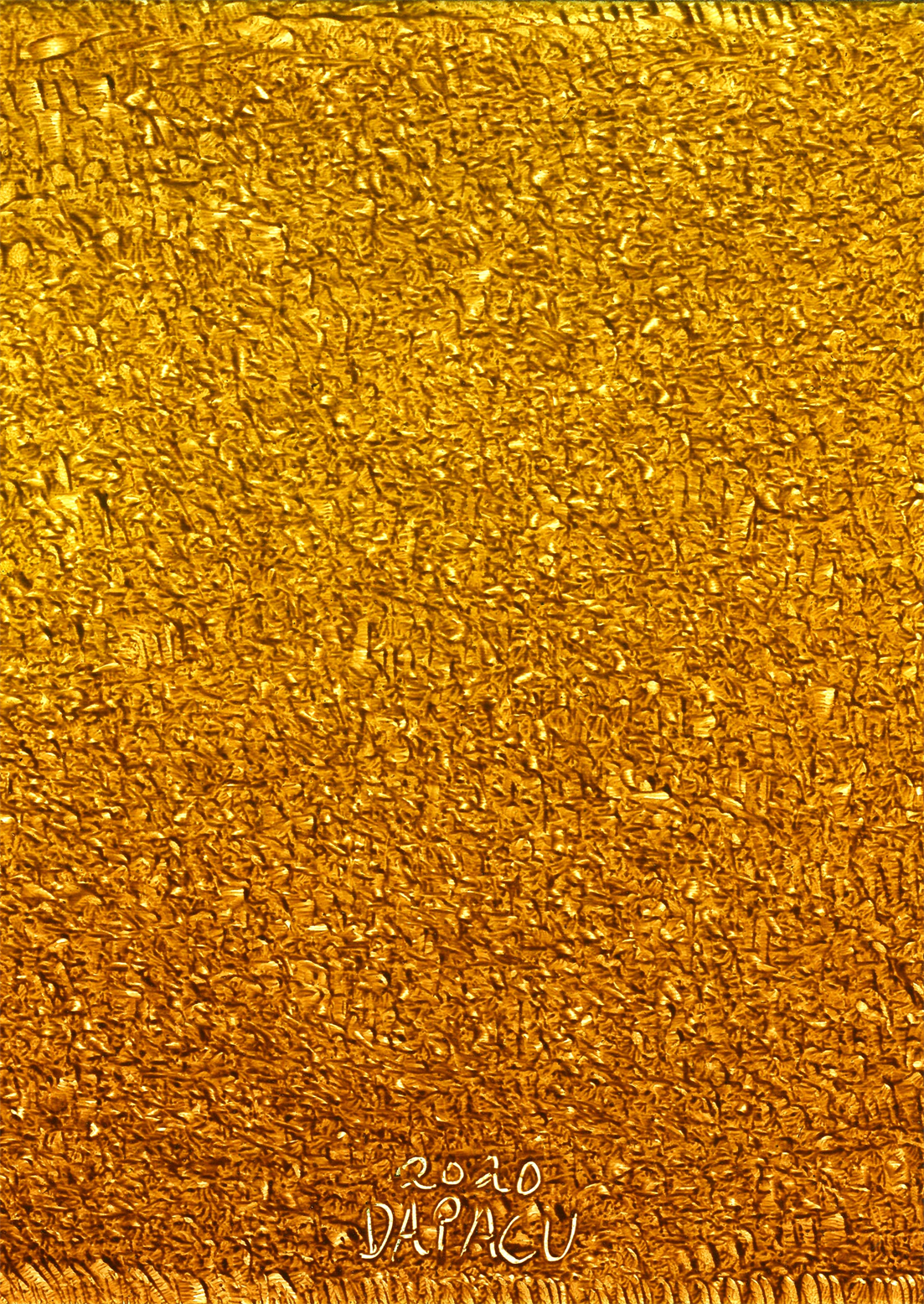 Austin Painting Exhibition